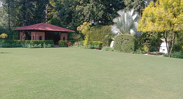 Dera Mandi Farmhouses For Sale