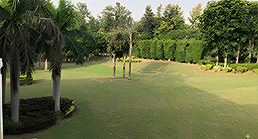 DLF Chattarpur Farms For Sale