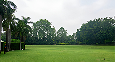 DLF Chattarpur Farms For Sale