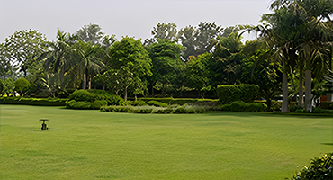 DLF Chattarpur Farms For Sale