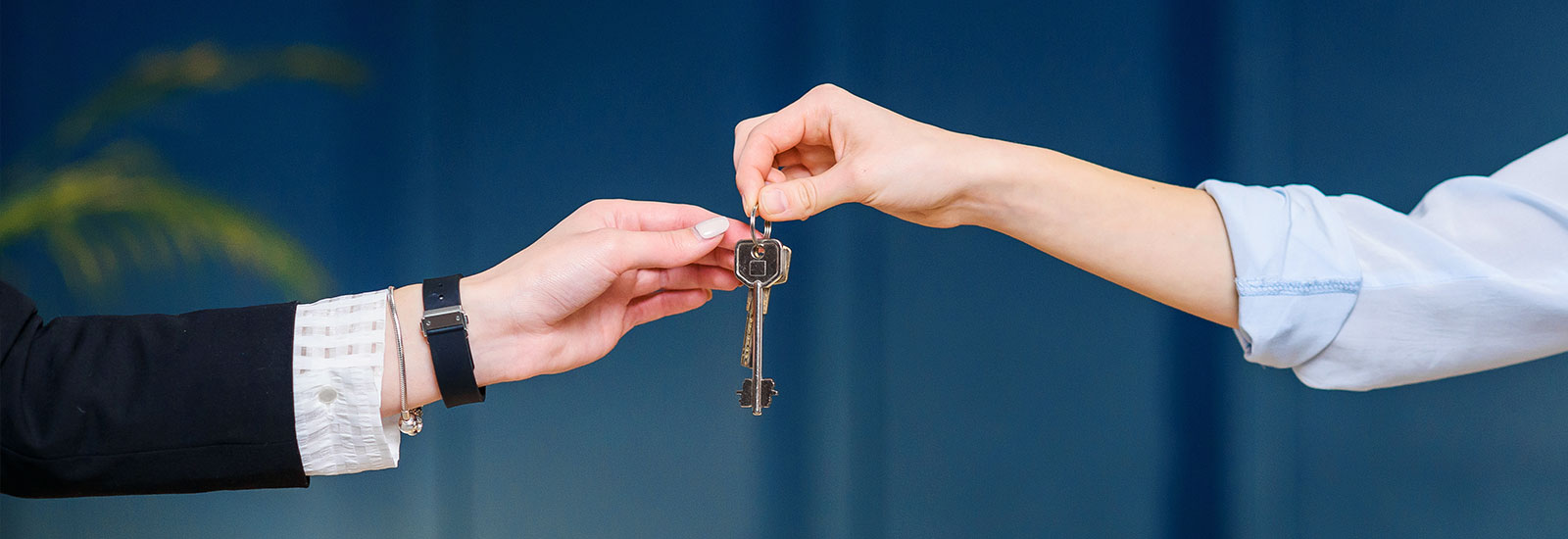 Rented Properties for Sale in Delhi/NCR Banner