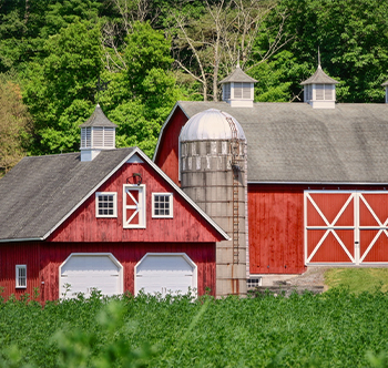 Farmhouses in Delhi