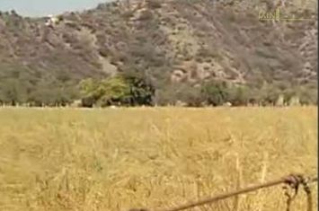 Land for Farmhouse Project -Santo, Rajasthan