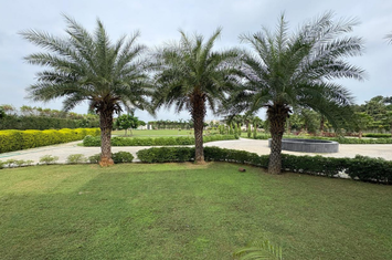 Farmhouse for RENT in central drIve, dlf chattArpur, south delhi