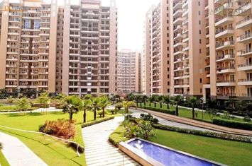 Tulip Violet, SECTOR - 69, GURUGRAM