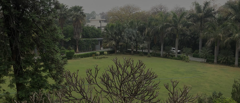 MG ROAD FARMHOUSES, DELHI