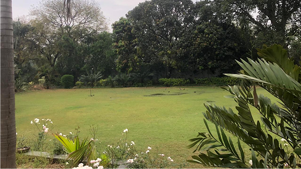 MG Road Farmhouses For Sale