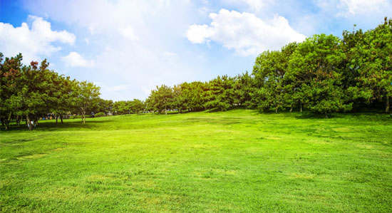 Pushpanjali Farmhouse For Sale in Delhi