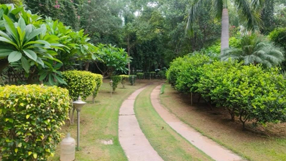 Radhey Mohan Drive Farmhouses For Sale